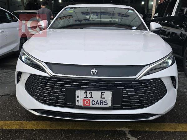 بي واي دي كوين L DM-i 2025 للبيع في العراق -  بغداد